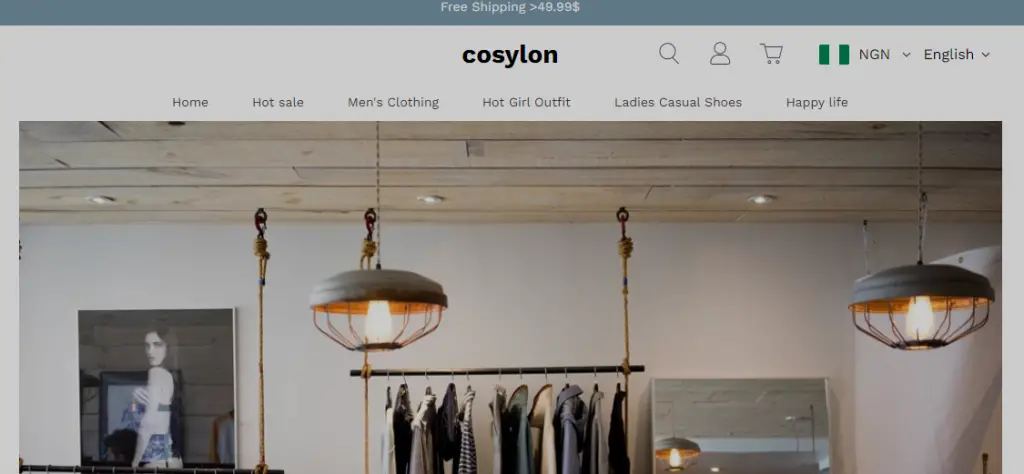  Cosylon Home Page