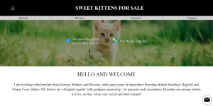 Sweetkittenforsale