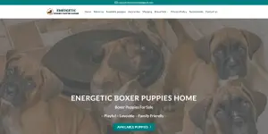 Energeticboxerpuppieshome