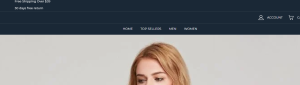 Joysav