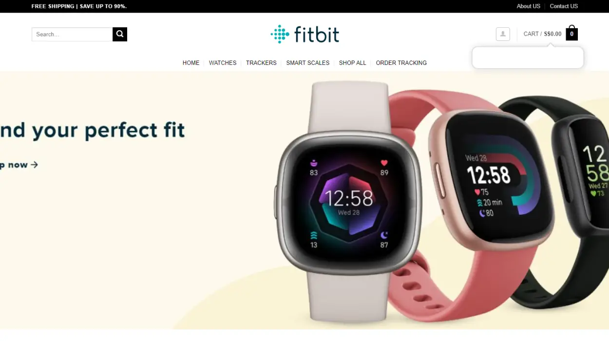 Fitbitsg