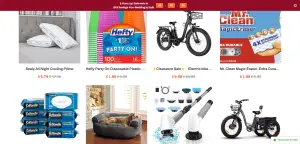 Biglotstorehome